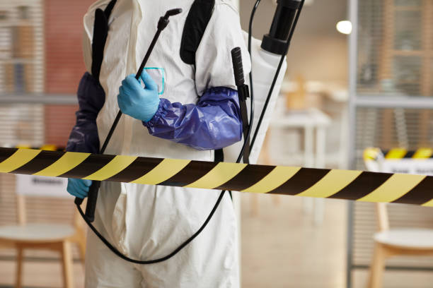 Professional Odor Removal technician working in Enon, OH