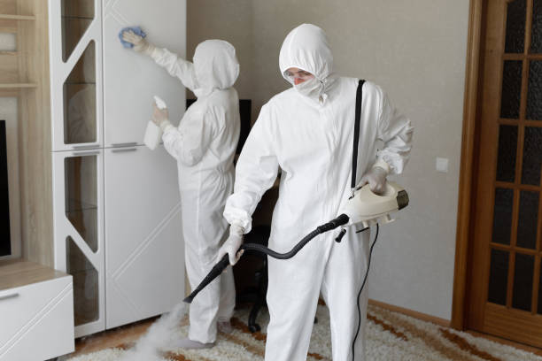 24/7 Emergency Odor Removal experts in Enon, OH